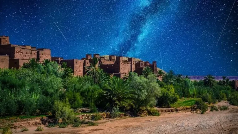 السياحة المغربية تخصص استراتيجية رقمية عالمية لاتحاد الوكالات