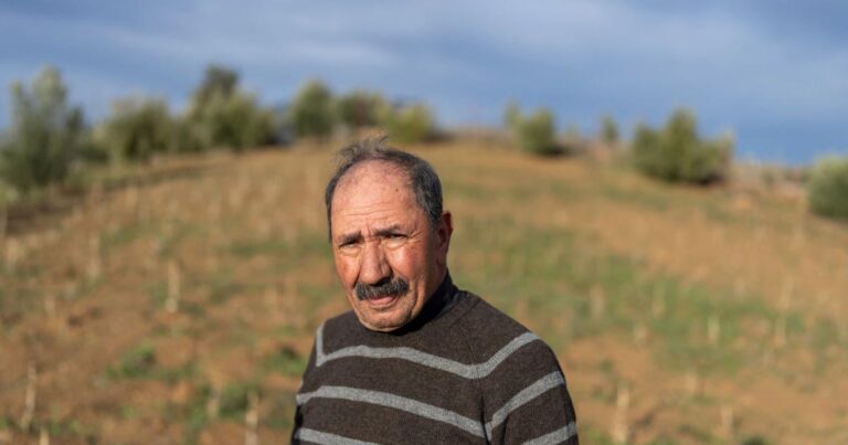 المغرب يهدف إلى تعزيز زراعة القنب القانونية والاستفادة من الازدهار العالمي | عمل