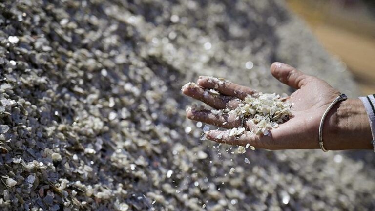 المكتب الشريف للفوسفاط يتوقع ارتفاع صادرات الفوسفاط إلى الهند بحوالي 40% خلال السنة المالية 2025 المكتب الشريف للفوسفاط يتوقع ارتفاع صادرات الفوسفاط إلى الهند بحوالي 40% خلال السنة المالية 2025