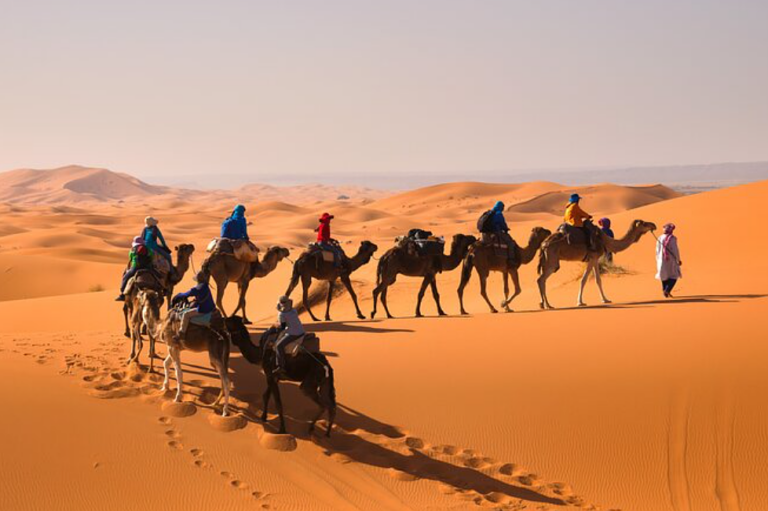 أفضل جولات المغرب الخاصة مع Tilila Travel وباقة مسؤولة أفضل جولات المغرب الخاصة مع Tilila Travel وباقة مسؤولة