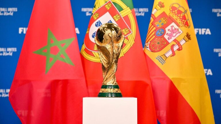 المغرب يقتل آلاف الحيوانات الضالة قبل كأس العالم 2030