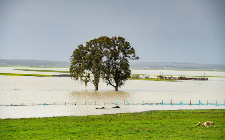 بريطانيا تواجه خطر نقص الفراولة بعد الفيضانات التي ضربت إسبانيا والمغرب